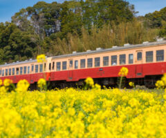 【愛知県へ配車(9/5)】ダイハツ タント・スロープ付きの福祉車両レンタカー