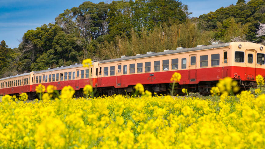【愛知県へ配車(9/5)】ダイハツ タント・スロープ付きの福祉車両レンタカー